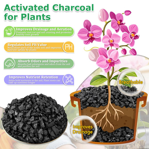 Legigo activated charcoal promotes air circulation around plant roots.
