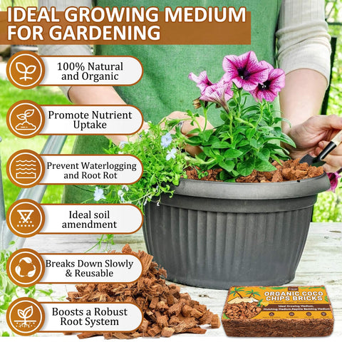 Legigo Coco Chips aerated structure supports healthy root airflow in containers.