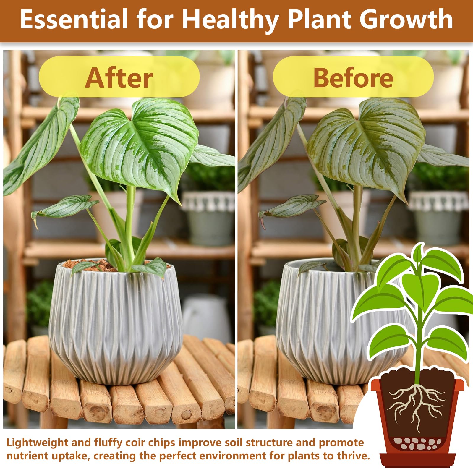 Legigo Coco Chips shown in an indoor garden setup for versatile potting use.