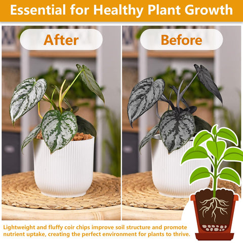 Legigo coco coir chips used in indoor gardening setup