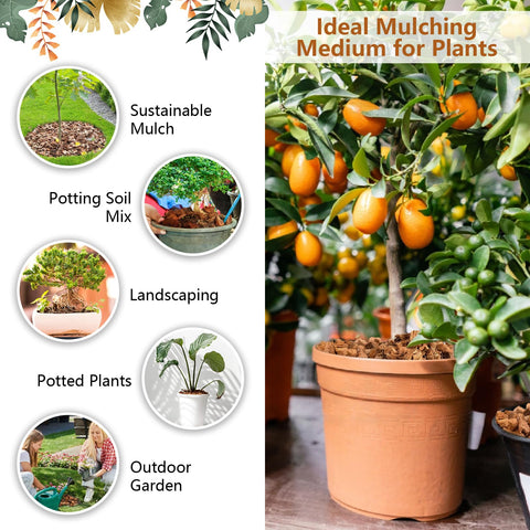 Legigo Coco Chips mulch layer helps retain soil moisture in garden beds.