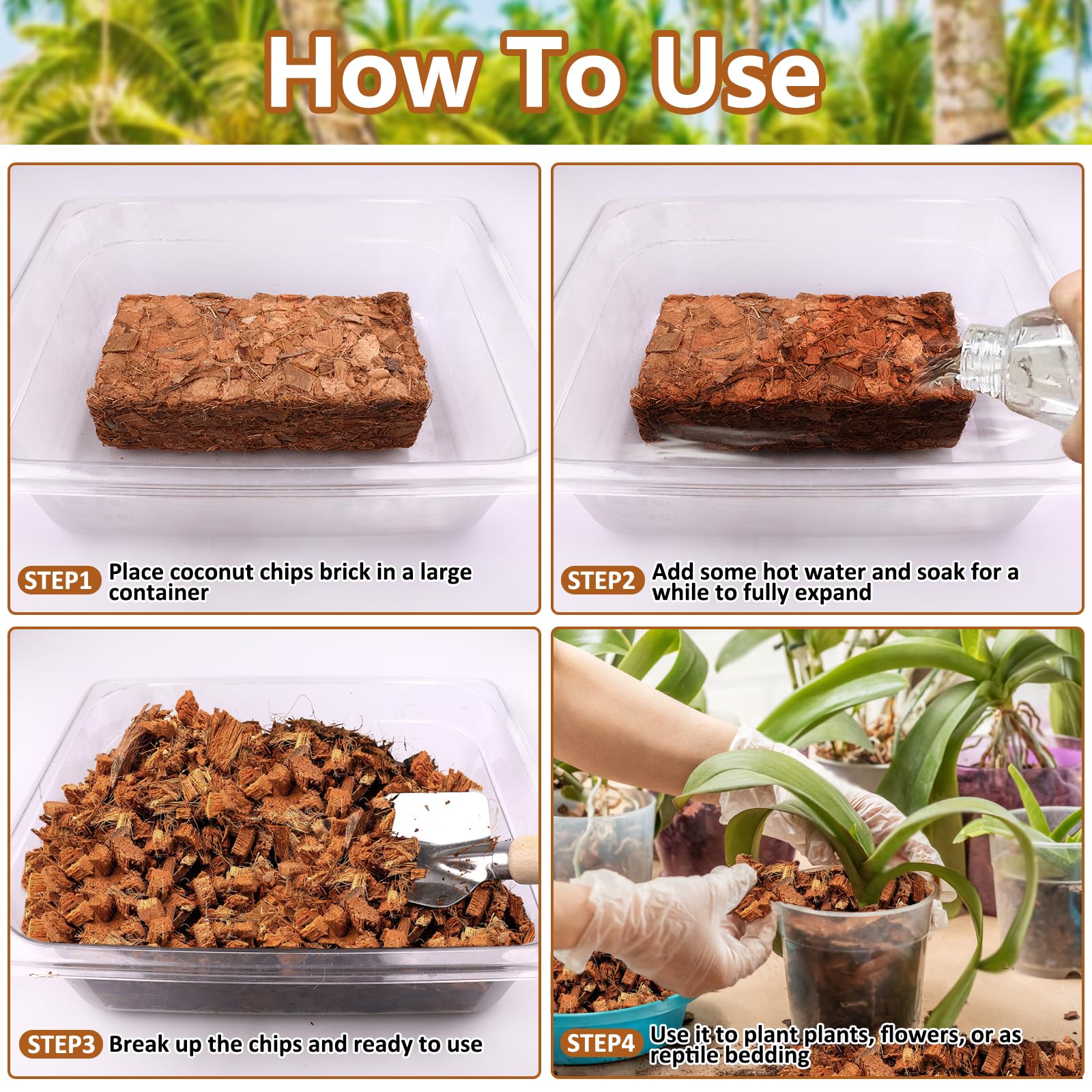 Legigo Coco Chips orchid substrate setup supports orchid growth and root health.