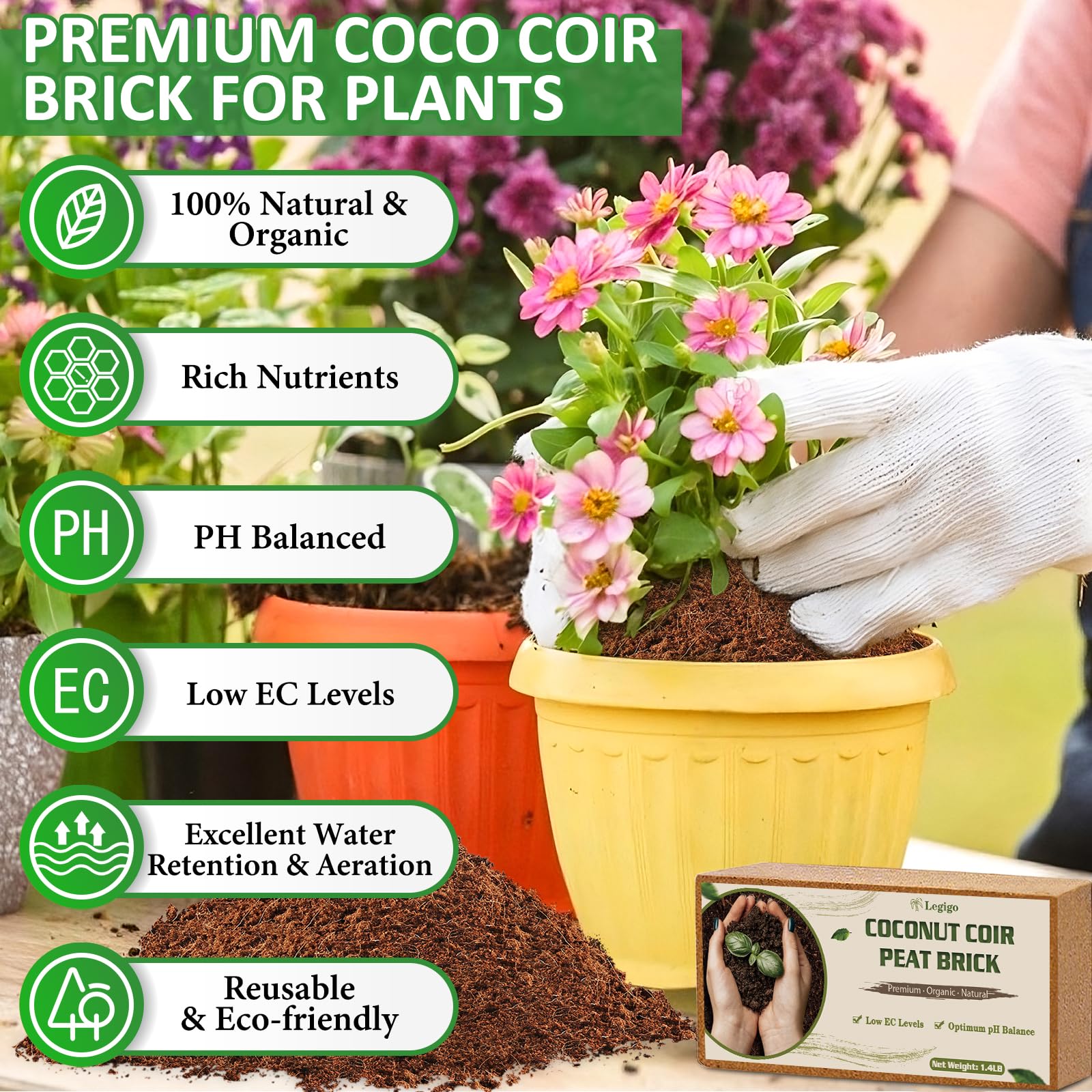 Legigo coco coir brick expands when soaked for potting mix