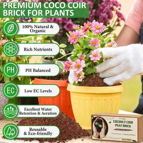 Legigo coco coir brick expands when soaked for potting mix