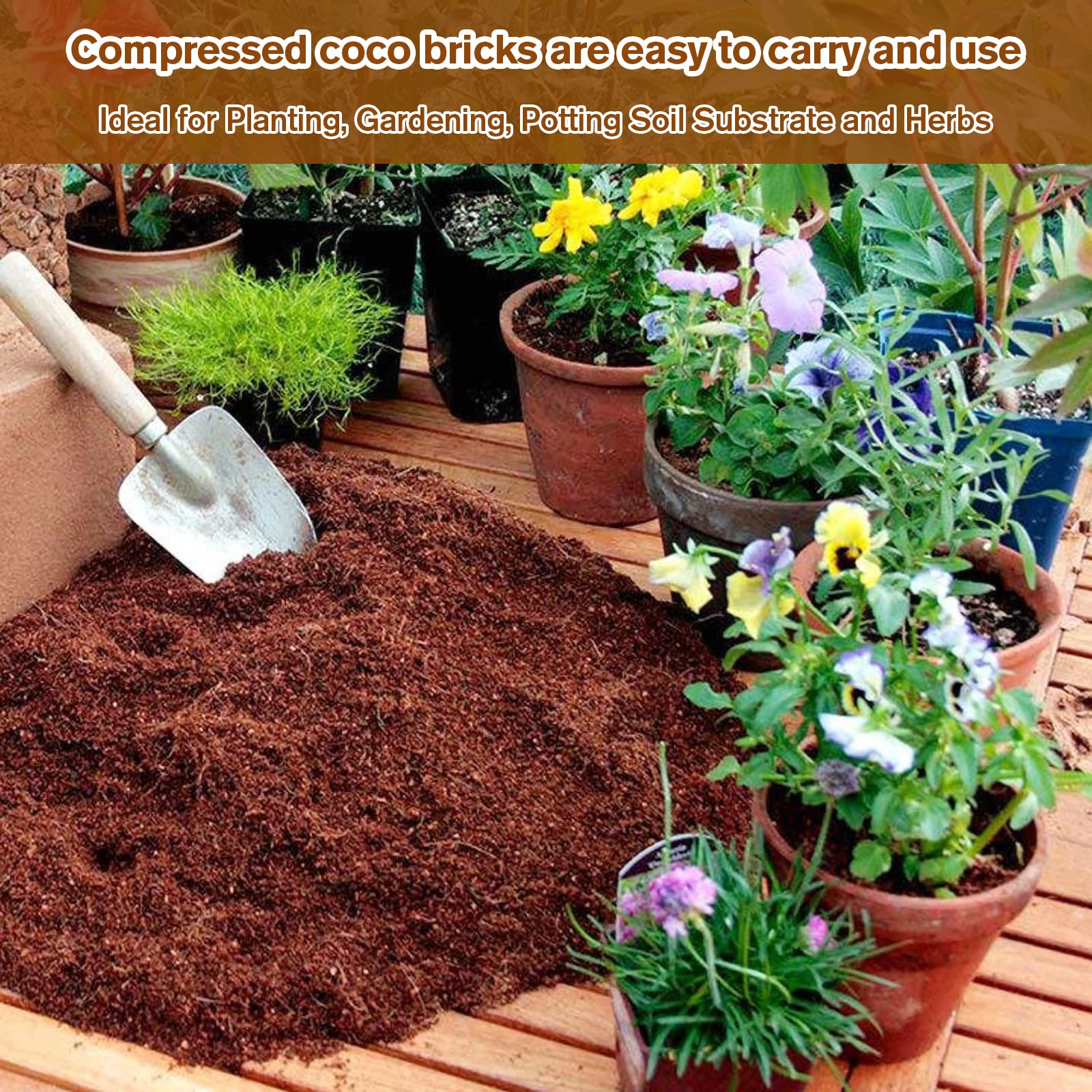 Legigo coco coir brick suitable for microgreens and indoor gardens.