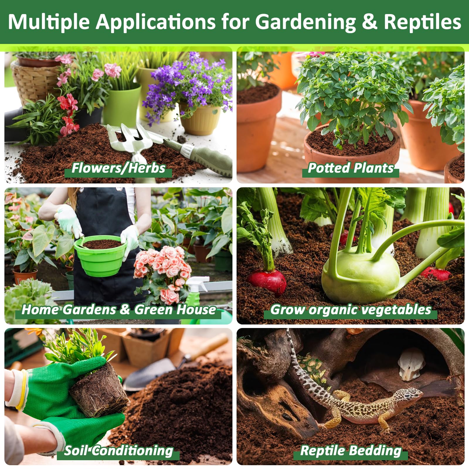Legigo Coco Coir Brick supports herbs and vegetables