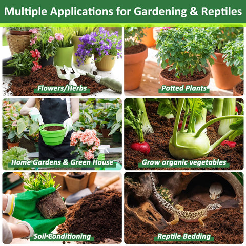 Legigo Coco Coir Brick supports herbs and vegetables