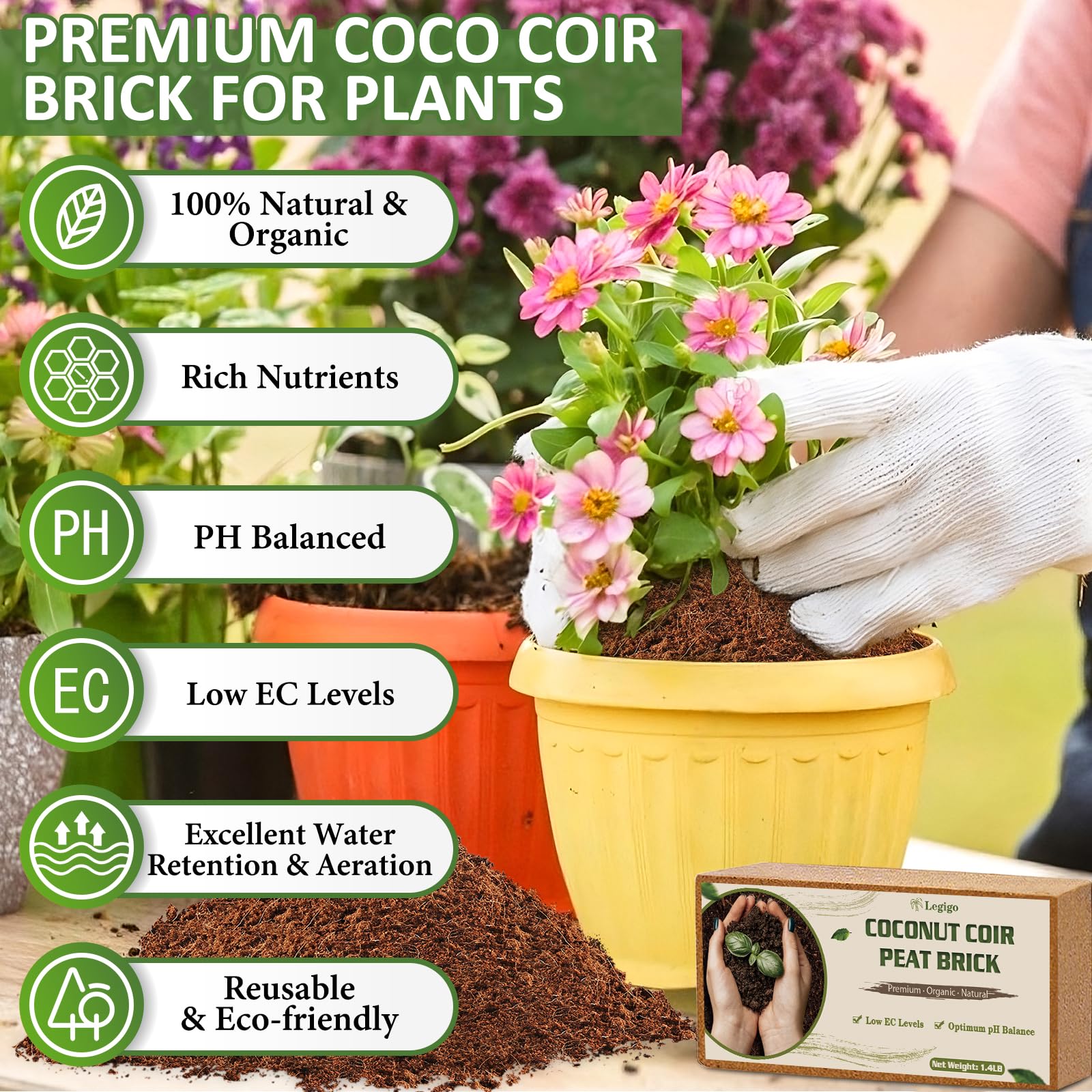 Legigo Coco Coir Brick hydration expansion demonstrates water absorption.