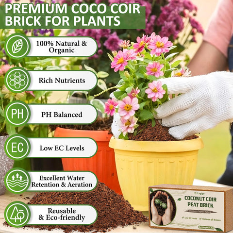 Legigo Coco Coir Brick hydration expansion demonstrates water absorption.