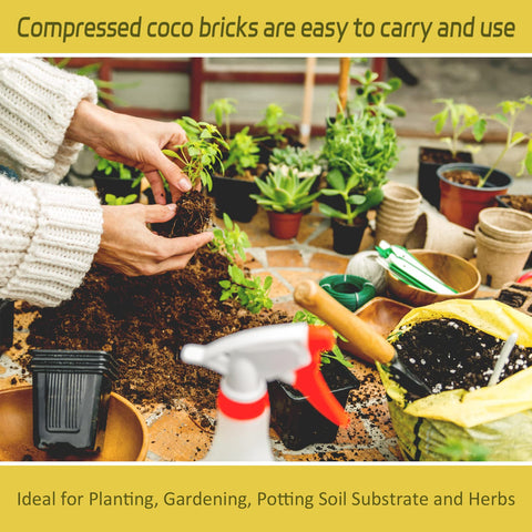 Legigo coco coir brick suitable for indoor and outdoor use with herbs and flowers