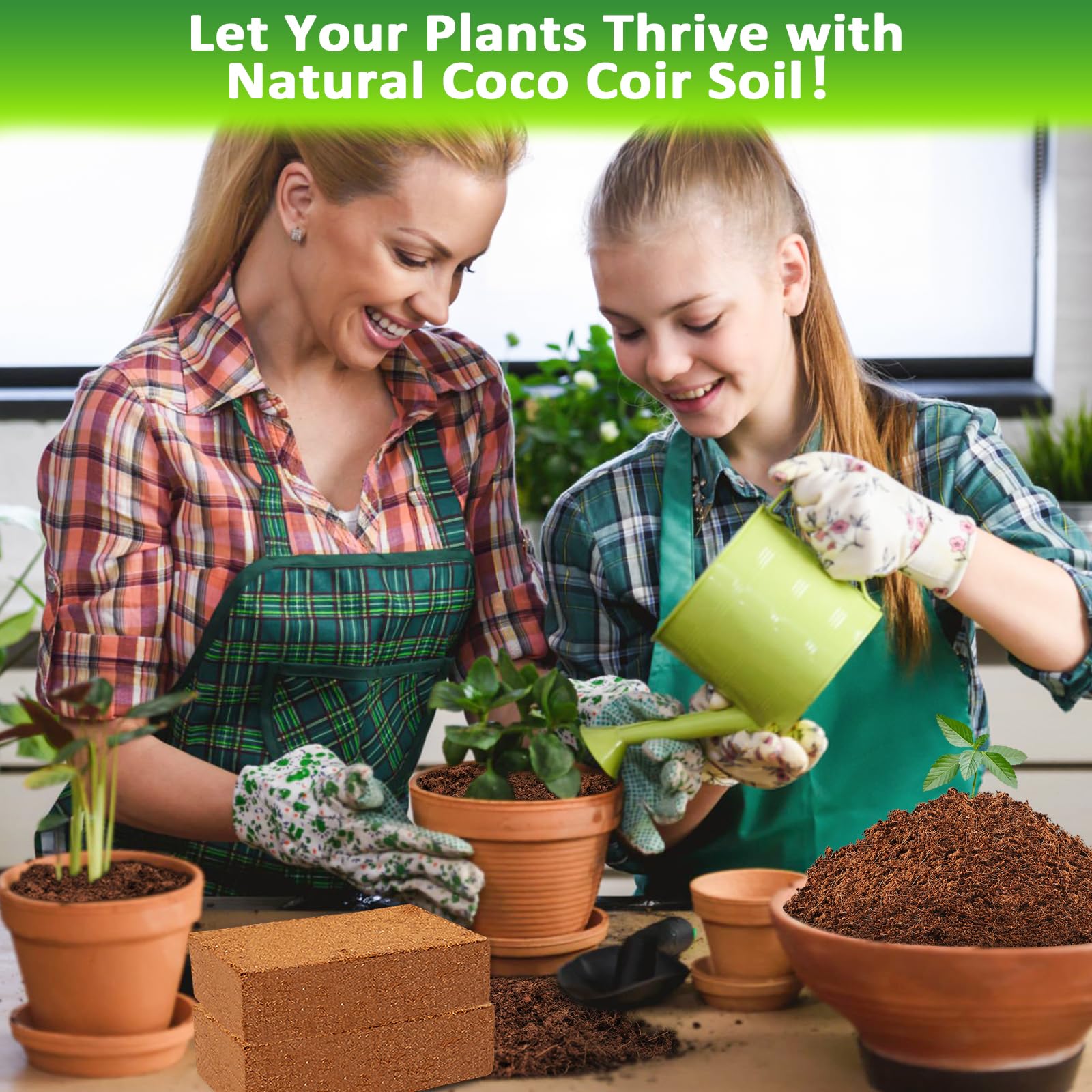 Legigo coco coir brick used with indoor plants for thriving growth