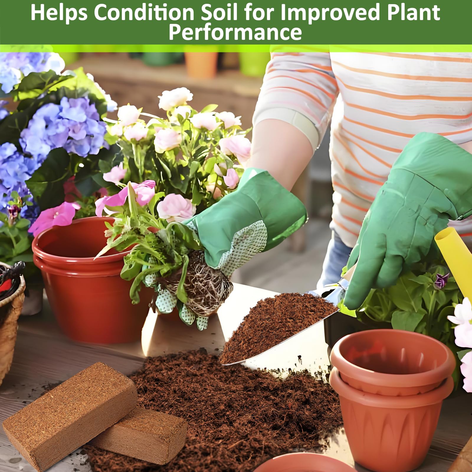 Legigo Coco Coir Brick vegetables and herbs growing potential.