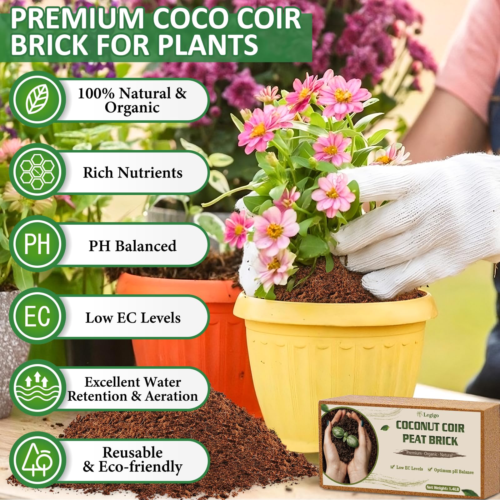 Legigo Coco Coir Brick expands after water to fluffy substrate