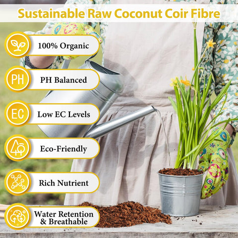 Legigo coco coir brick expands when hydrated to form ready-to-use soil