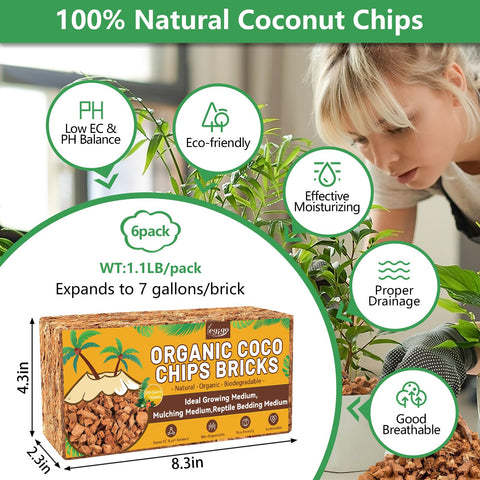 Expanded Legigo coco coir chips provide airy substrate for healthy roots.