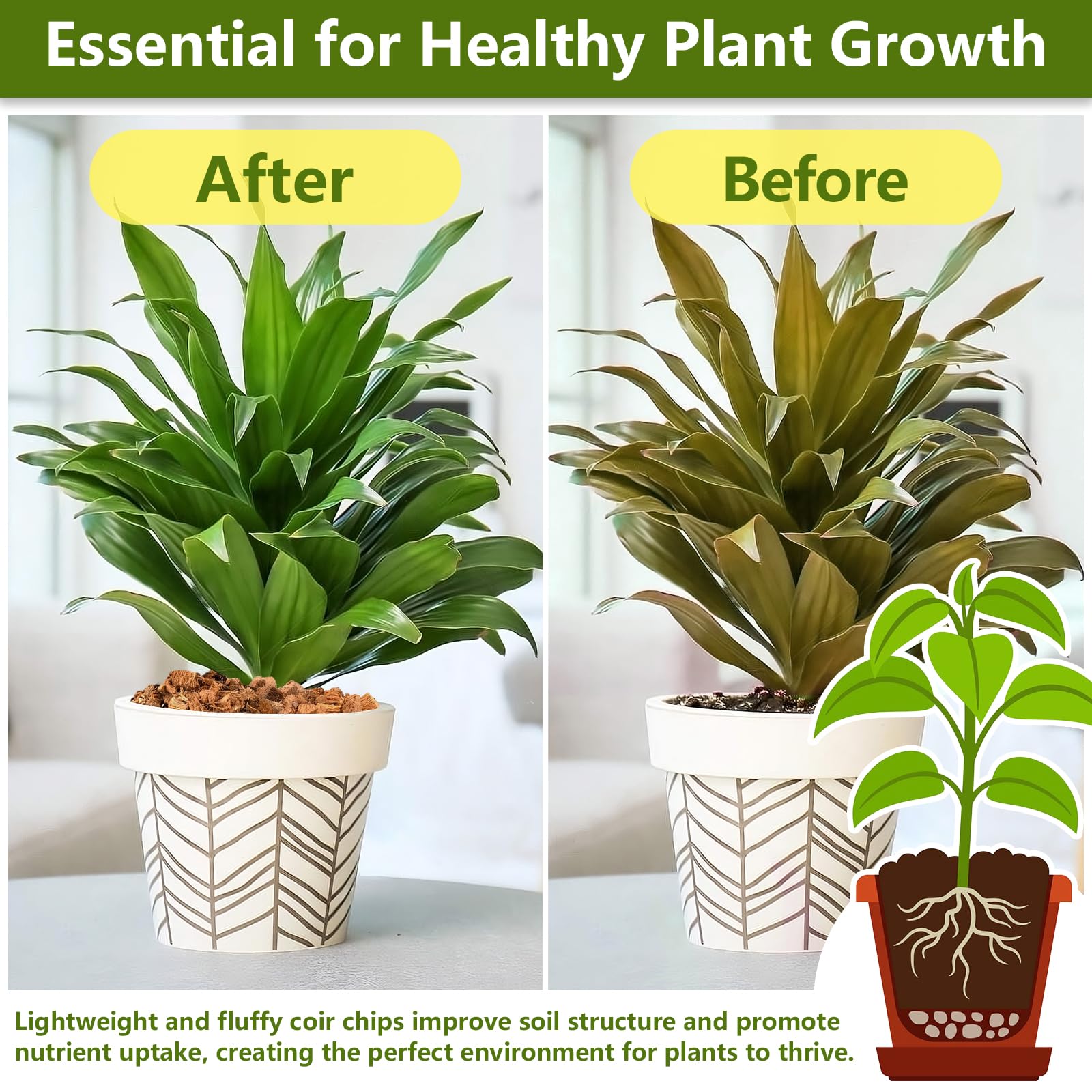 Legigo Coco Coir Chips used in indoor plant setups for versatility