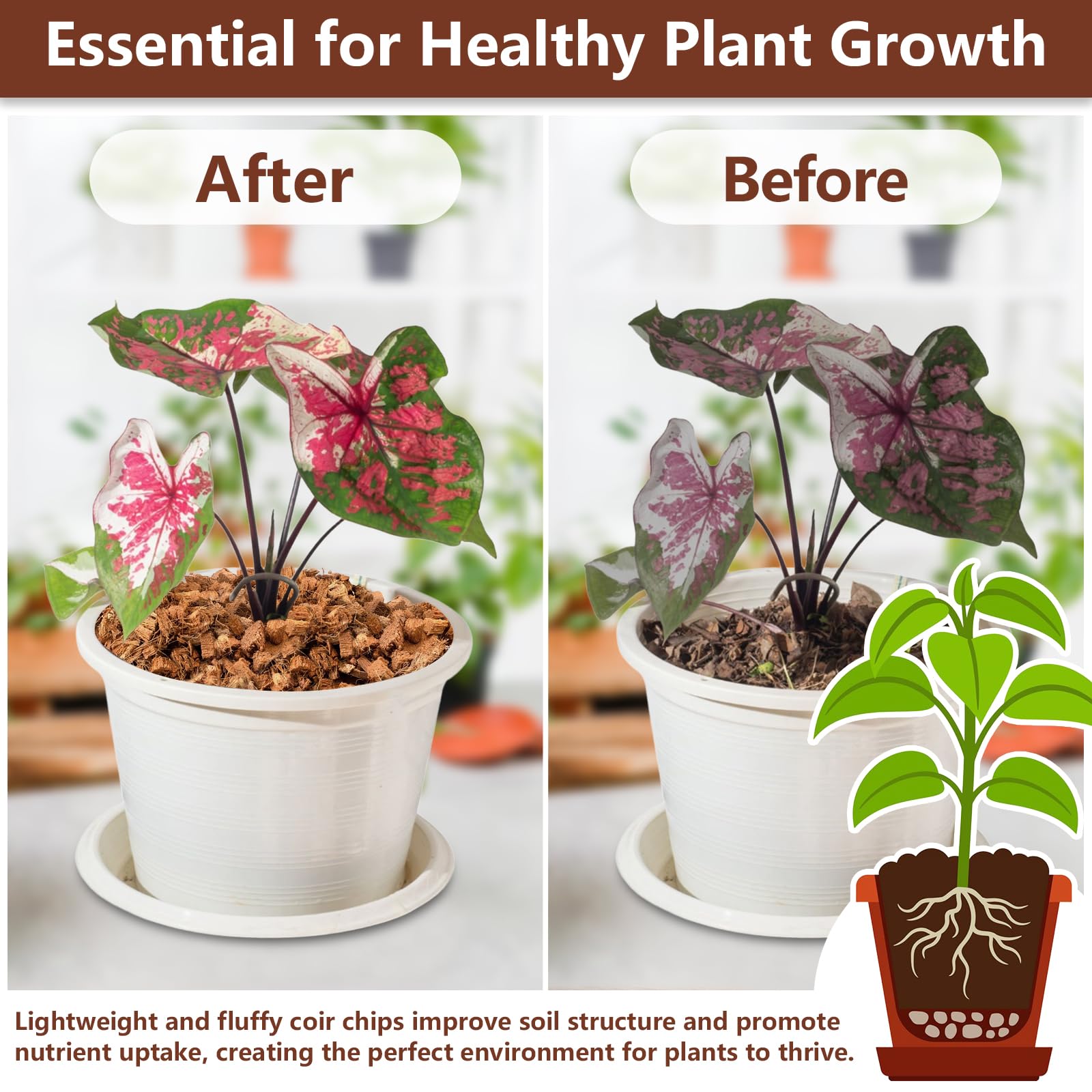 Chips used as mulch around potted plants to retain moisture