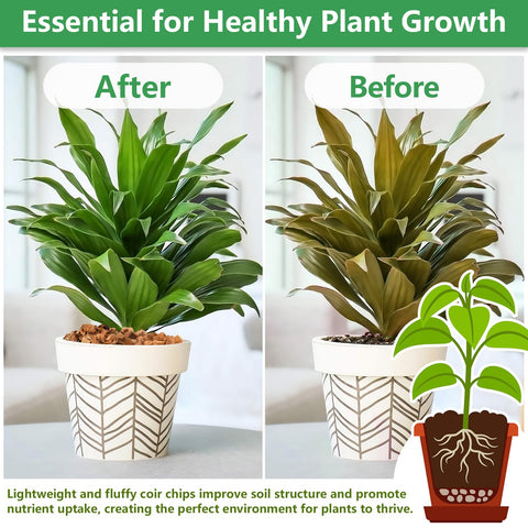 Legigo coco coir chips orchid substrate supports balanced moisture for blooms.