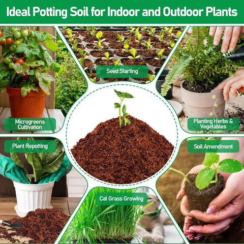 Legigo coco coir pellets are easy to use and transplant with media.