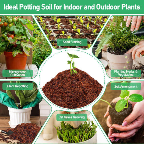 Legigo coco coir pellets for garden use including seed beds and plant propagation.