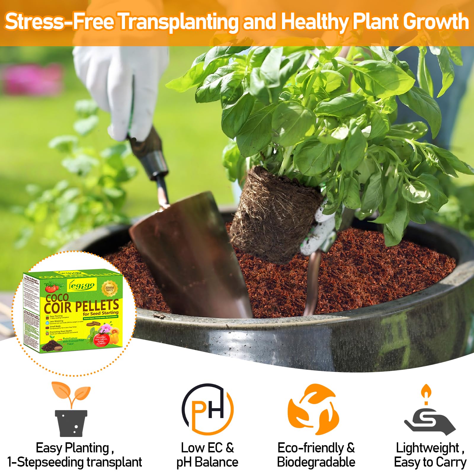 Legigo coco coir pellets promoting healthy root growth during germination
