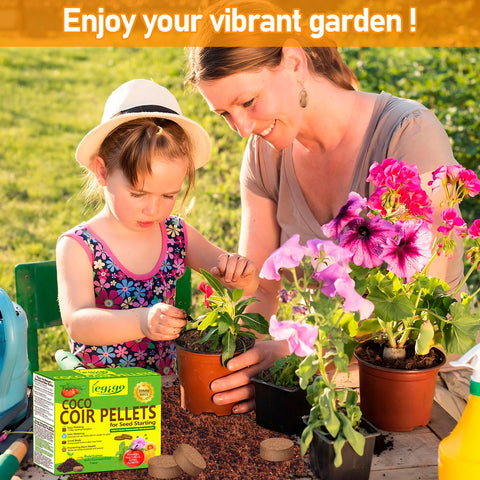 Legigo coco coir pellets as an organic growing medium for indoor gardens