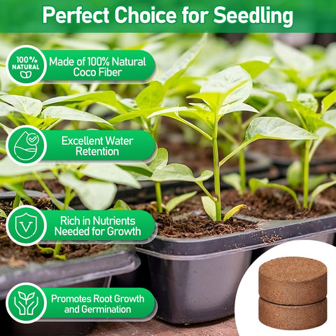 Legigo organic coco coir growing medium supports healthy seedling growth.
