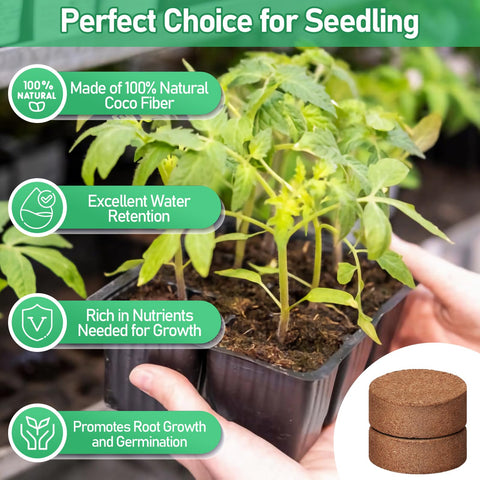 Legigo Coco Coir Pellets seedling setup promotes uniform germination and strong roots.