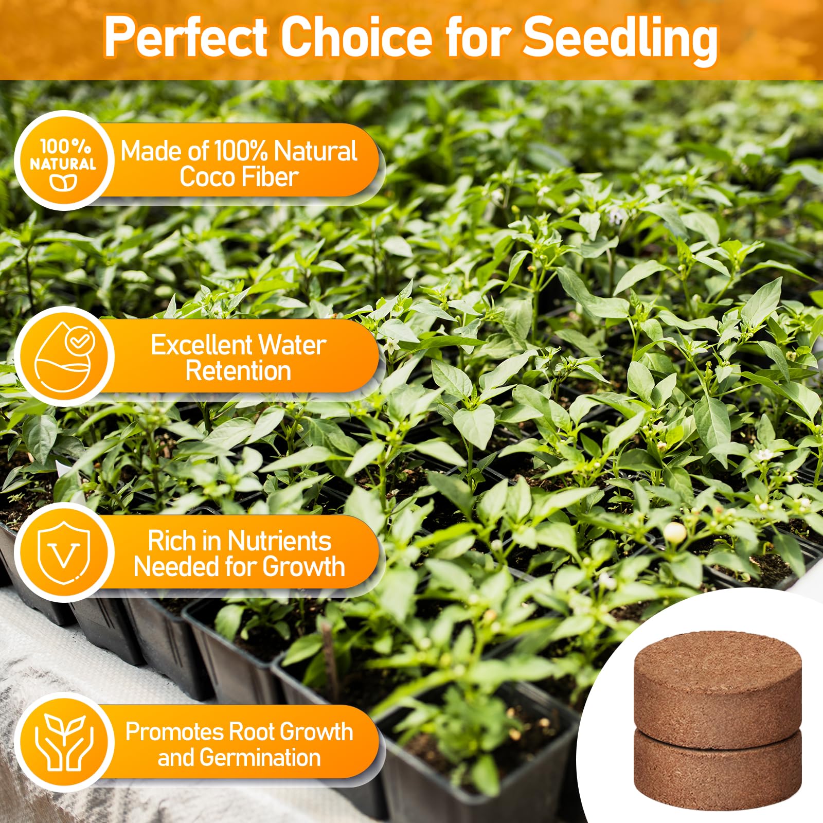 Legigo coco coir pellets absorbing water for even moisture
