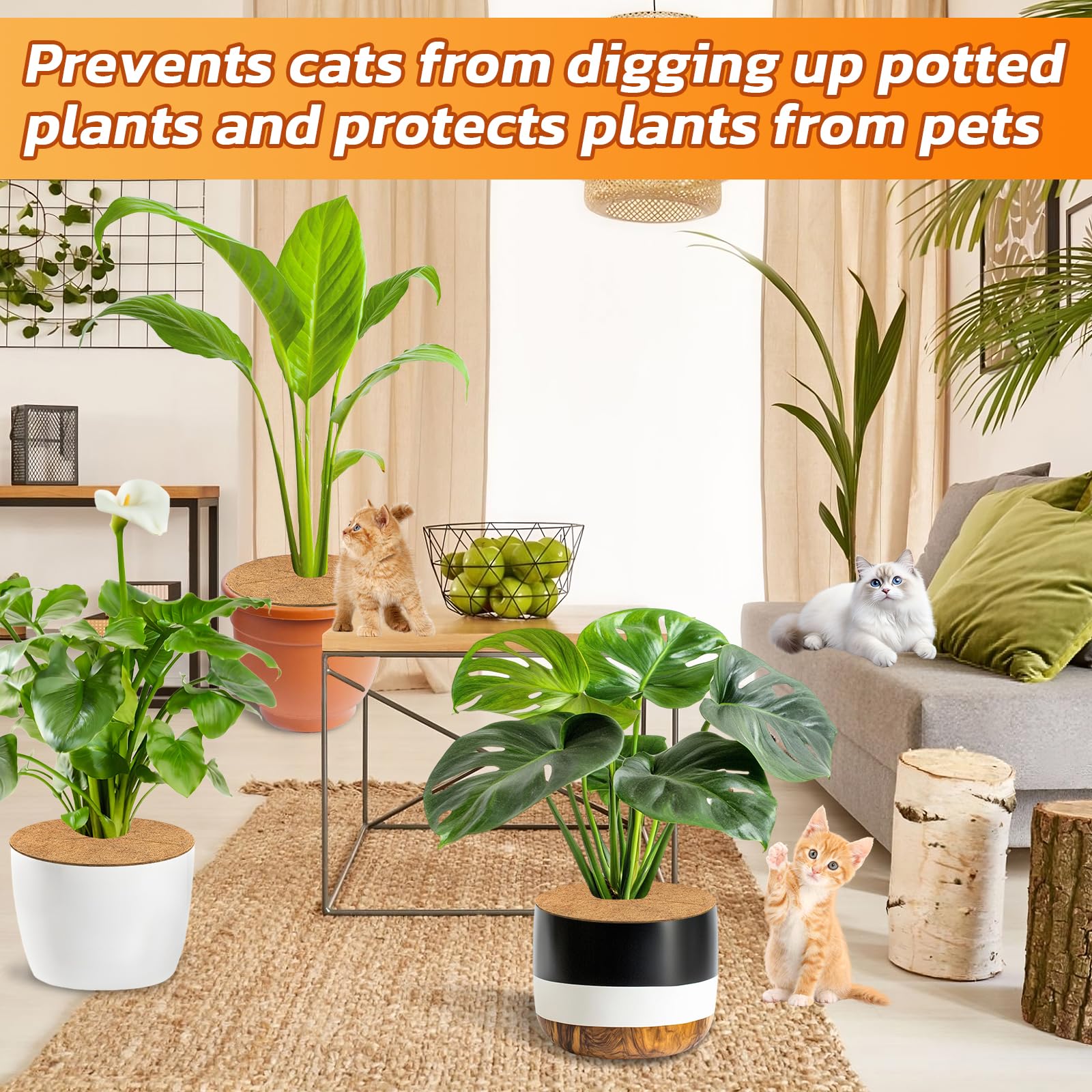 Legigo coco coir ring acts as a barrier to deter digging by animals.