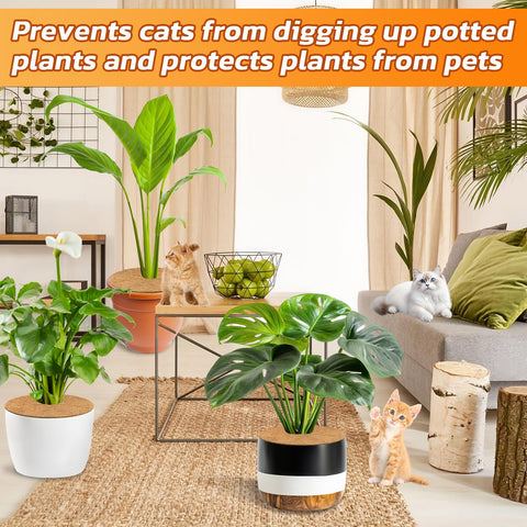 Legigo coco coir ring acts as a barrier to deter digging by animals.