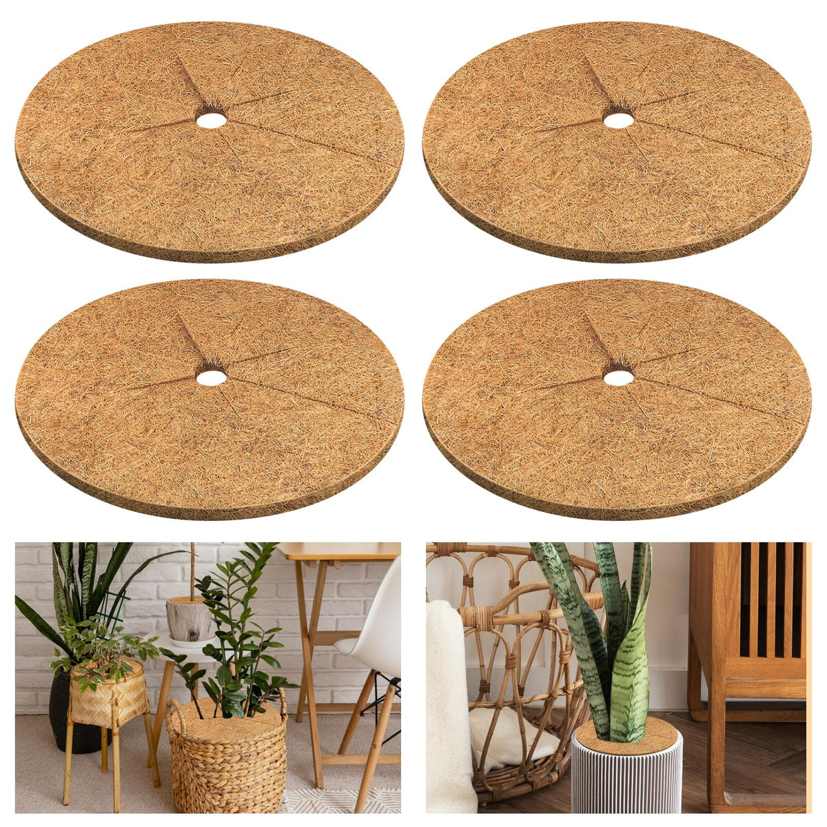 Legigo coconut fiber mulch ring 14in pack around a young tree for moisture retention.