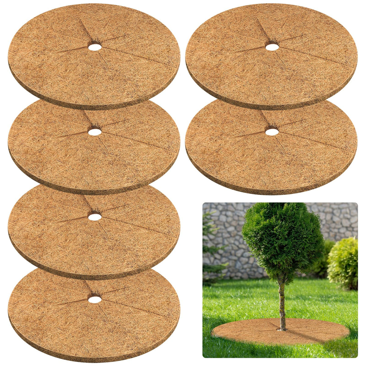 Legigo coconut fiber mulch ring 24in assembly around a tree to conserve soil moisture