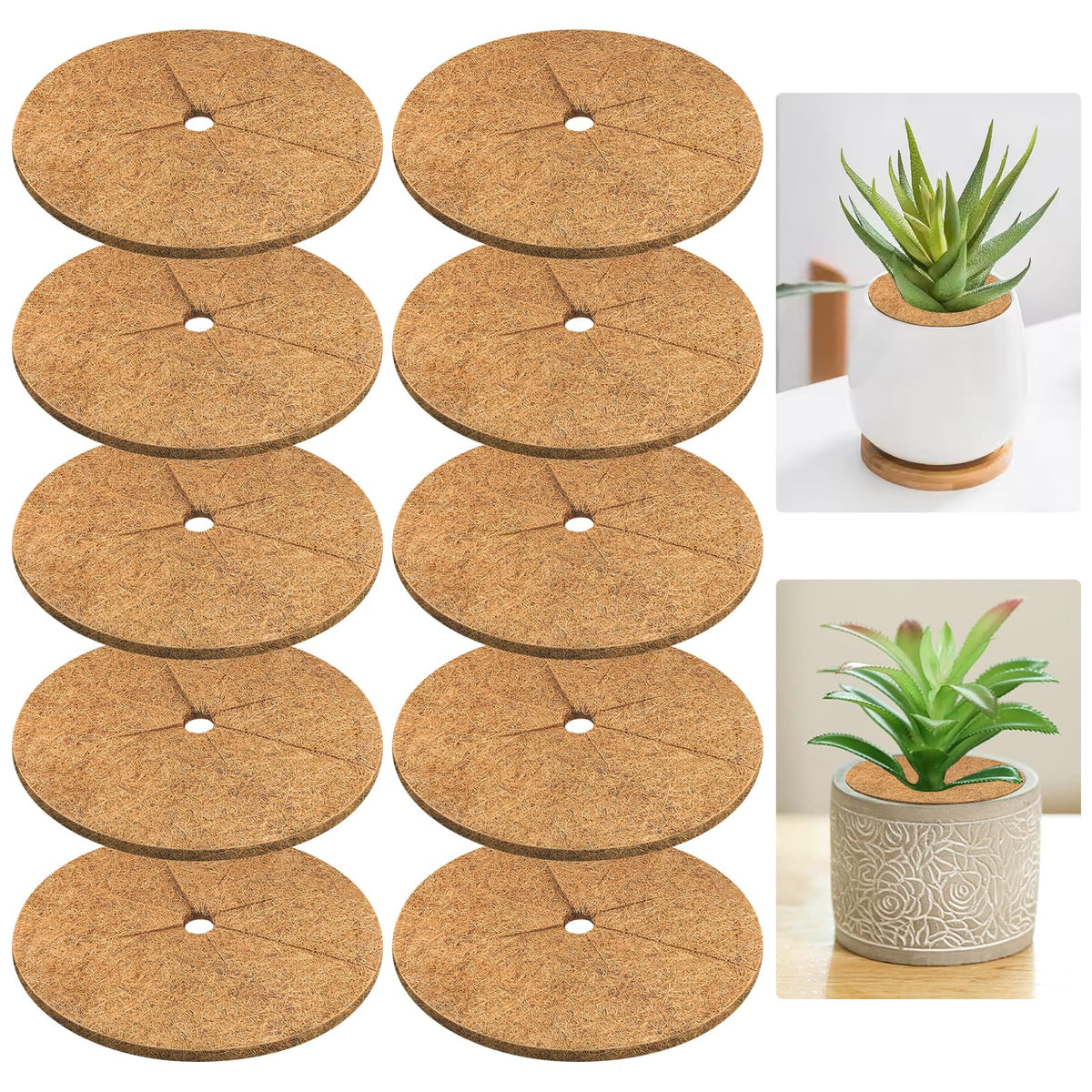 Legigo coconut fiber mulch ring protects tree bases while retaining soil moisture.
