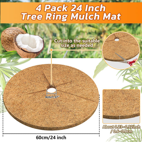Legigo coco coir ring installed around a trunk creates a neat, weed-suppressing barrier.