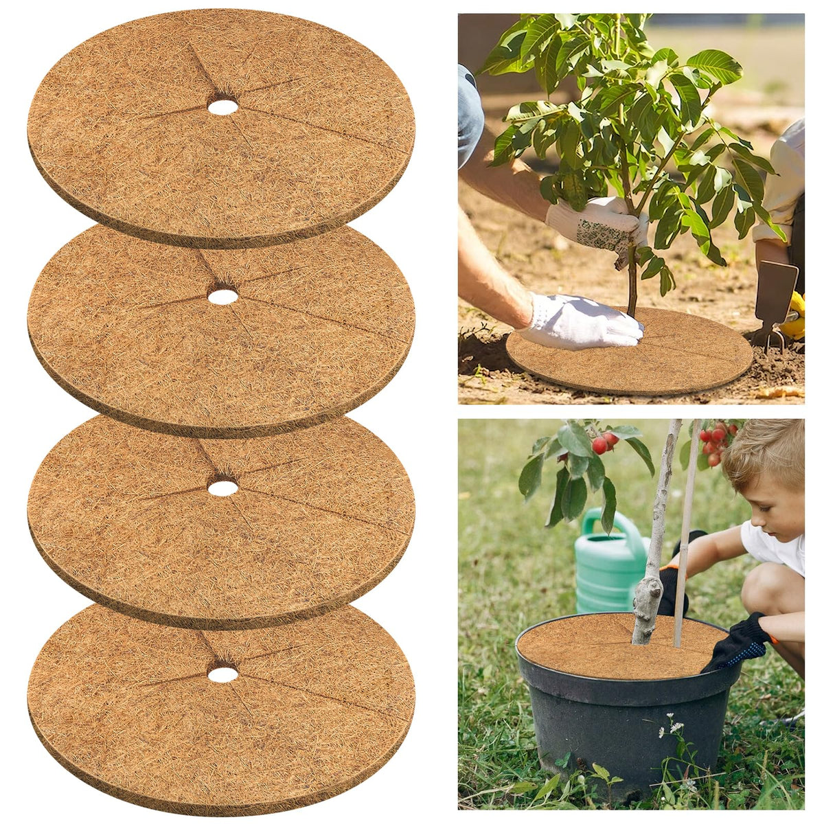 Legigo coconut fiber mulch ring surrounds a plant, boosting moisture retention and soil protection.