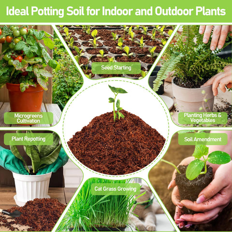 Legigo coco discs are versatile and suitable for multi purpose use in propagation.