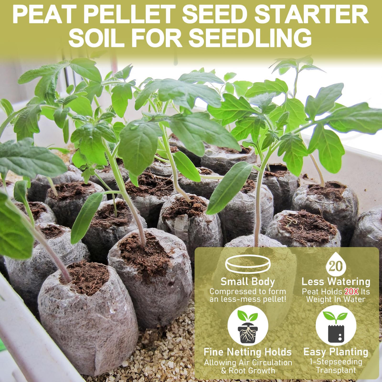 Legigo compact 2-inch pellets prepared for transplant in pots