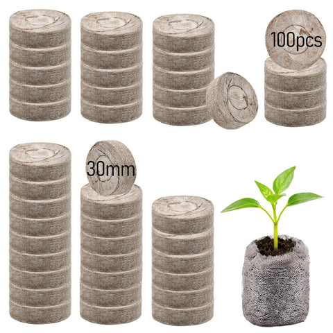 Legigo compact seed starter system saves space in small greenhouses.