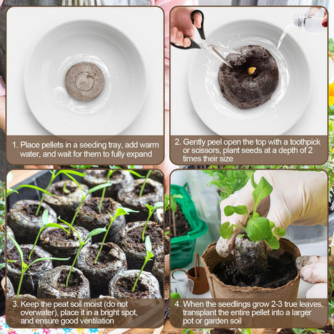 Legigo pellets fit 1020 trays, improving seedling organization.