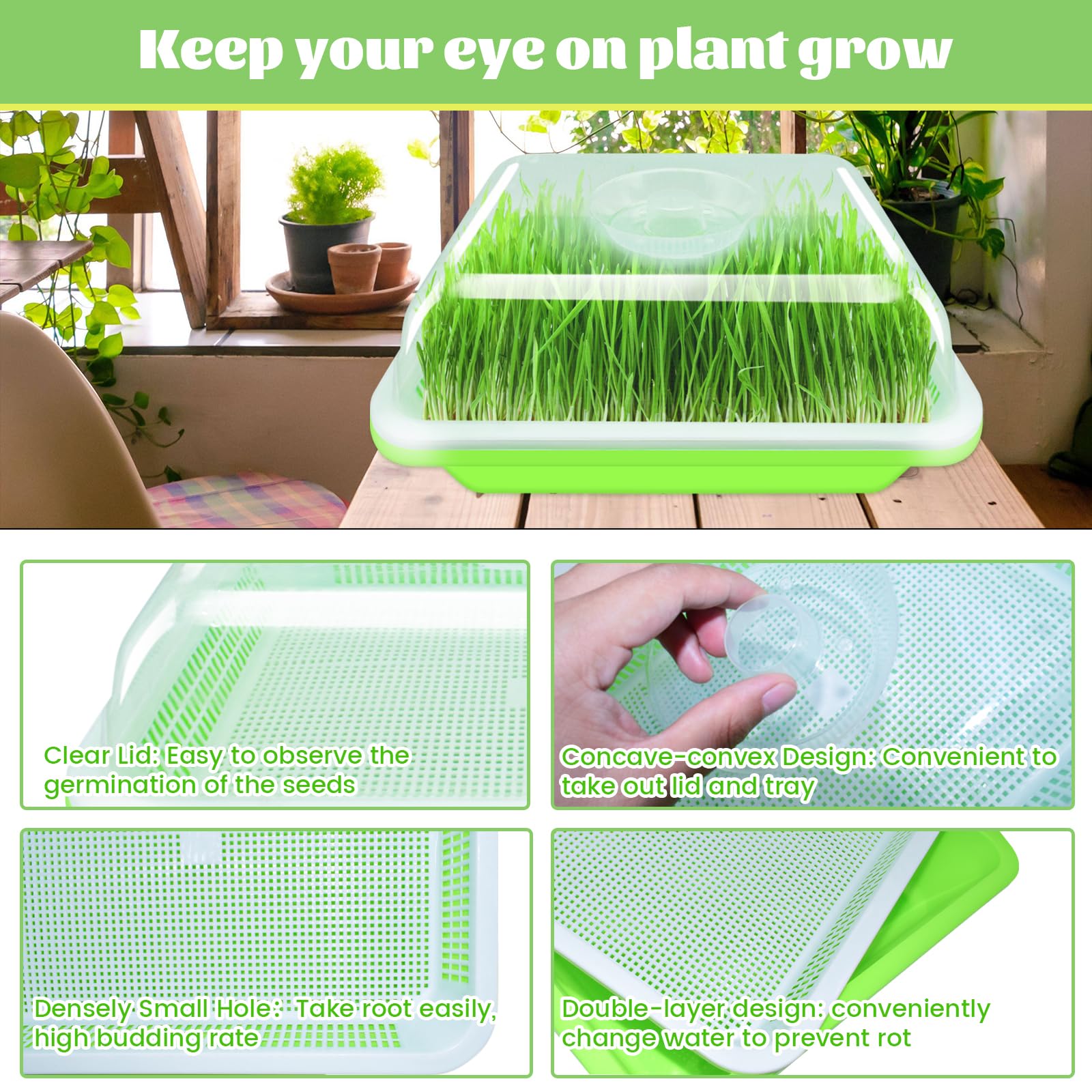 Legigo dense grid sprout trays promote even root growth and sprouts.