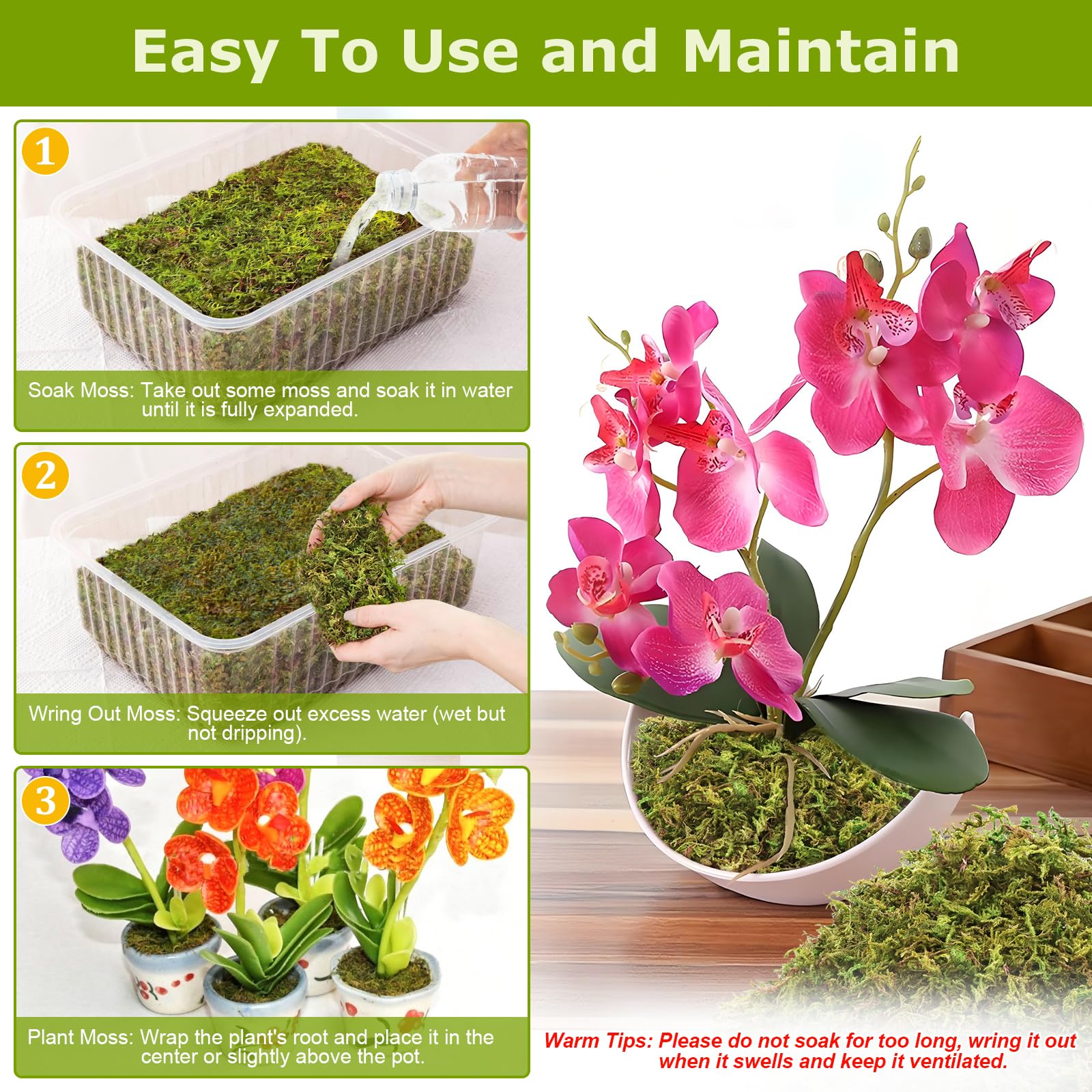 Legigo dried moss easy to use; soak and wrap around roots