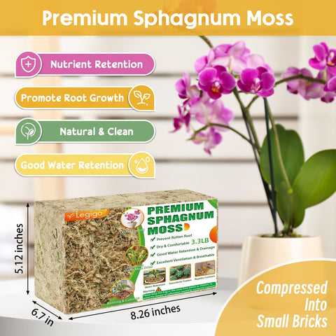 Legigo dried sphagnum moss natural texture without artificial colorings