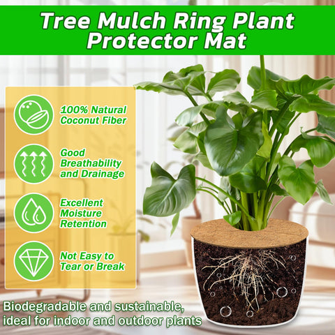 Legigo easy-install tree ring placed around a plant stem for neat coverage.
