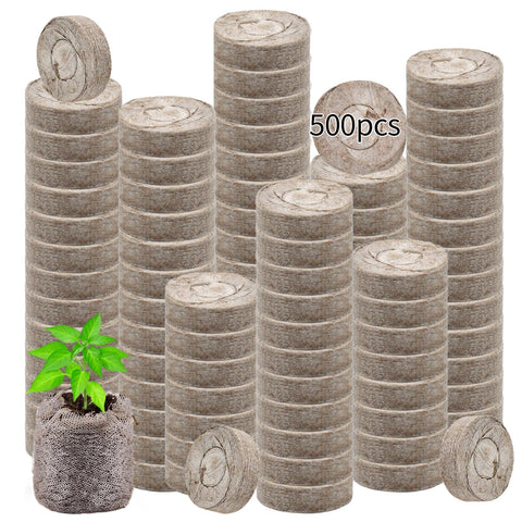 Legigo easy germination setup supports healthy seedling growth.