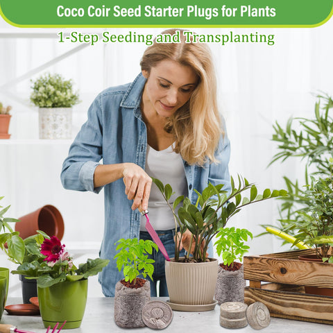 Legigo seed starter pods ease transplanting to garden without disturbing roots.