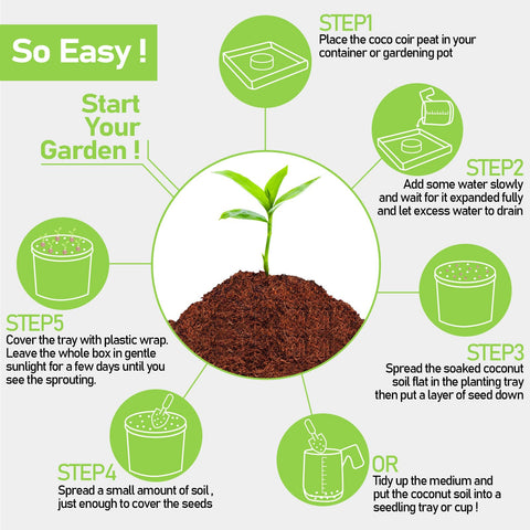 Legigo easy use coco coir pellets swell and support transplanting without disturbance.