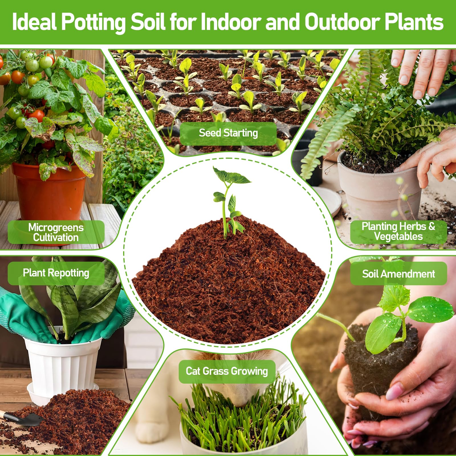 Legigo easy-use coco coir pellets: swell, place seeds, transplant the whole block.