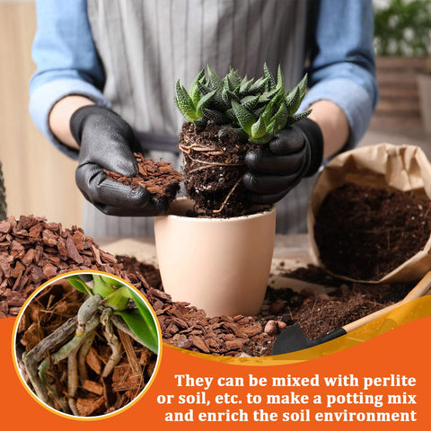 Legigo orchid bark for epiphytic orchids supports Phalaenopsis and other epiphytic varieties
