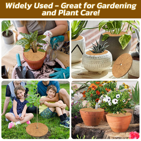 Legigo coconut fiber ring adds neat decor to garden and indoor plants.